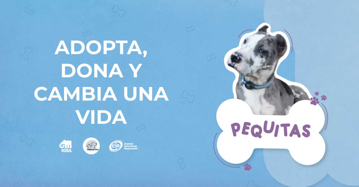 Adopta, dona y cambia la vida de Pequitas