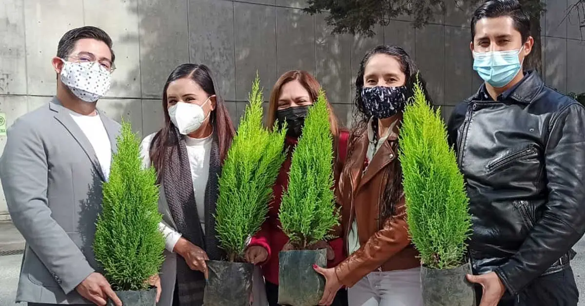 Campañas ESR - IGSA - Apadrina un árbol